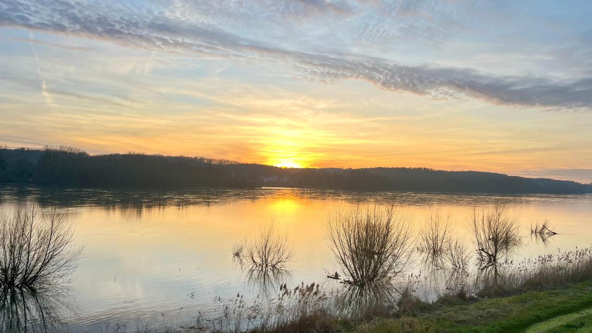 Un Mirage Tropical En Bord De Loire, Love Et Detente Saint-Clement-des-Levees ภายนอก รูปภาพ